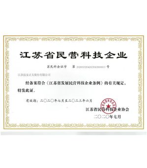 民营科技企业
